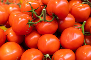 Ripe red branch tomatoes close-up. Summer tray market agriculture farm full of organic vegetables, can be used as background.