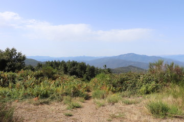 paysage sur la montagne 