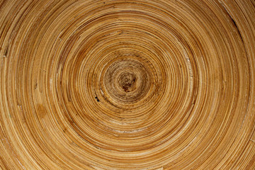 Cross section of wood trunk background. Surface of wooden plate pattern.