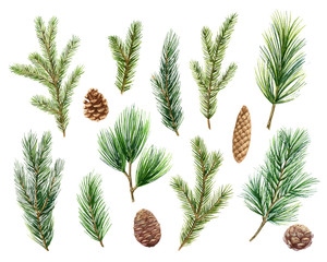 Christmas vector set with green pine branches and cones. - obrazy, fototapety, plakaty