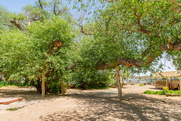 Altyn Emel National Park 10