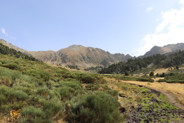 Fototapeta na wymiar Le mont Canigou