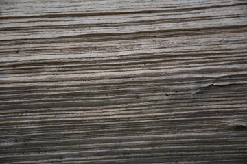 Fototapeta premium wood texture background