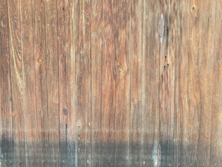 Damp Wood texture. Wooden texture background for design and building