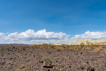 Altyn Emel National Park 29