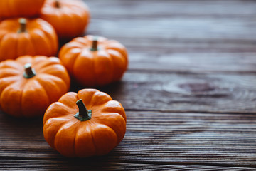 Diverse assortment of pumpkins on a wooden background. Autumn harvest.