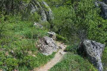 Fototapeta na wymiar Hiking pathway- journey through roads, mystical nature