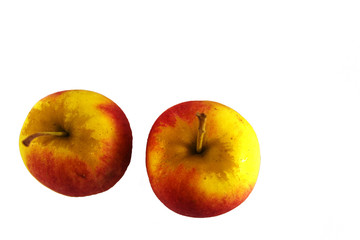 red apple on white background