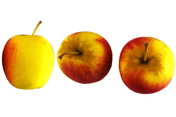 red apple on white background