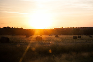 hay rolled up in stacks lies on a field in sunset light, harvesting