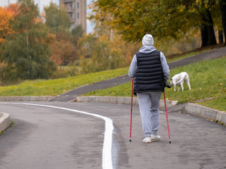 One woman goes Nordic walking with a white dog. Sports walk on a cloudy autumn morning in a city park.