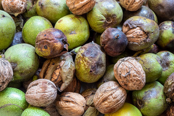 Close Up Top View of Organic Walnuts