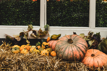 Halloween pumpkins outdoor decoration