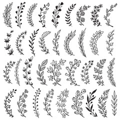 Big set of hand drawn vector plants and branches with leaves, flowers, berries. Floral sketch collection.