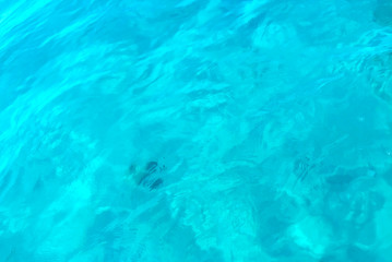 wavy blue sea water with turquoise huse