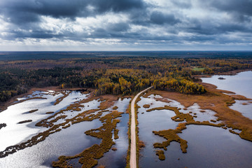 Owergrowing lake in autumn day, Kemeri National park, Latvia