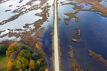 Owergrowing lake in autumn day, Kemeri National park, Latvia
