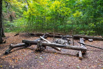 Resting place with stacked logs in a mountain forest