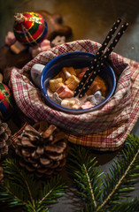 Cup of milk and Marshmallow. Christmas lights
