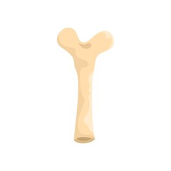Stone age bone icon. Flat illustration of stone age bone vector icon for web design