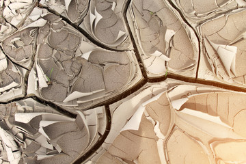 dried cracked surface of earth with sprouting grass in cracks
