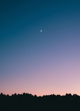 The Night Sky With The Crescent Moon Visible Above Silhouettes Of Trees