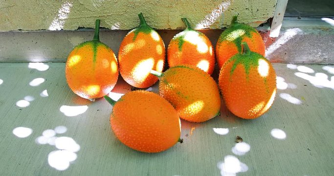 4k-Ripe Gac Fruits laid on the ground with beautiful sunshine