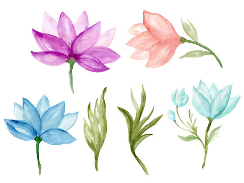 Watercolor illustration lotus collection Set of wild and garden and abstract elements arrangements hand painted © HoyaBouquet