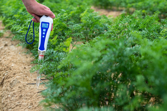 Measure soil with digital device. Green plants and woman farmer measure PH and moisture in the soil.