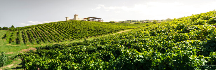 Fototapeta na wymiar Winery on hill and vineyards rows. Winery building on top of the hill.