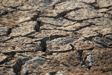 soil texture background