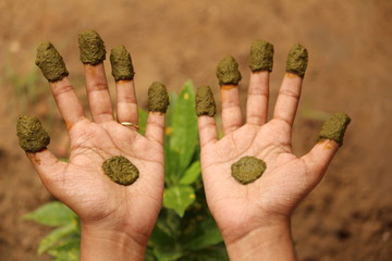 picture of applying wet Natural / herbal or home made henna on the hand with some traditional henna design or model