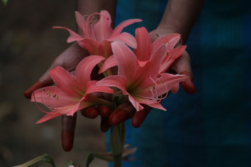 picture of the hand after applied of Natural / herbal or home made henna with some traditional henna design or model