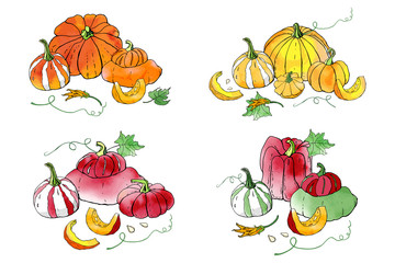 Collection of autumn pumpkin compositions with watercolor texture. Fall harvest. Vector set. Cute icons for postcards, greetings, cards, logo. Food background. Hand drawn. Halloween, thanksgiving.