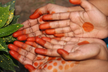 picture of the hand after applied of Natural / herbal or home made henna with some traditional...