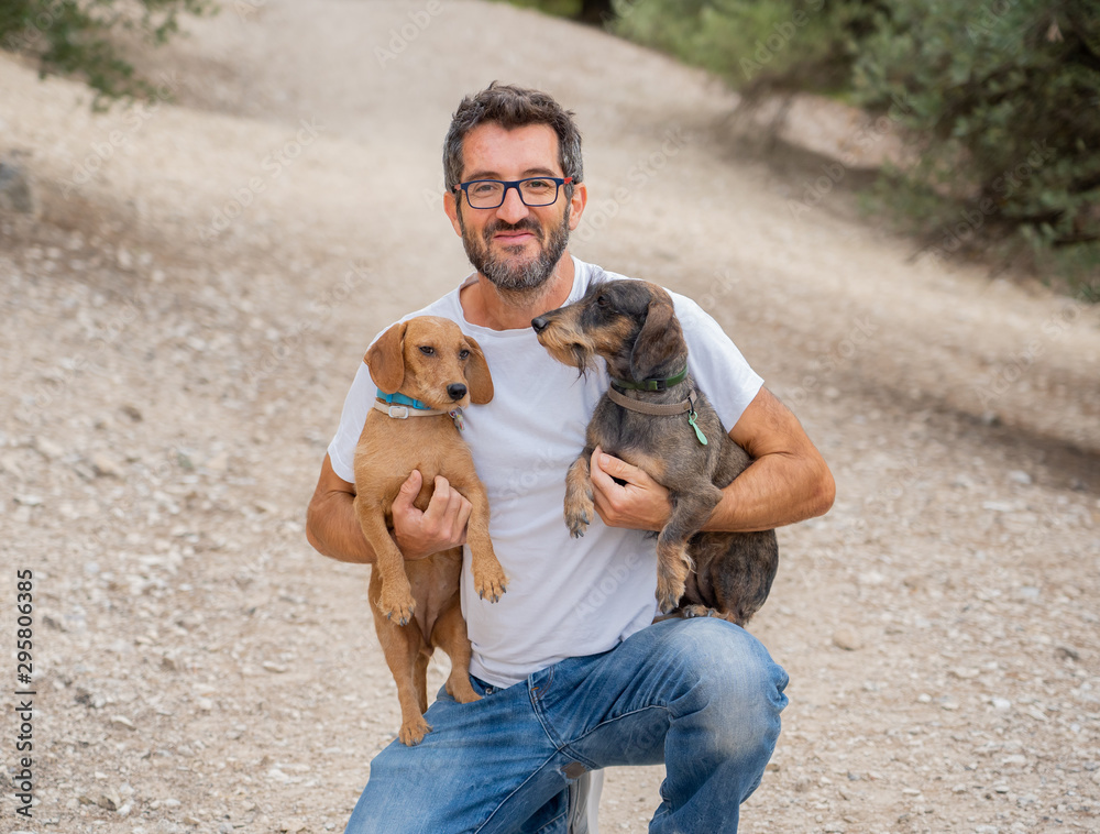 Wall mural Happy owner man with two old cute Dachshund Dog dogs in the park