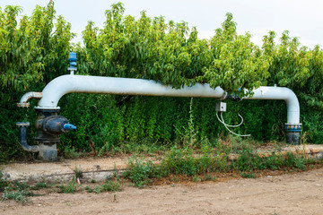 Watering pipes and peaches orchard.