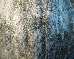 schale eines Kürbis als Hintergrund textur