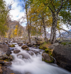 mountain river on a background of autumn trees