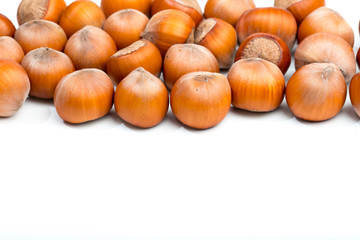 Hazelnuts isolated on white background - Image