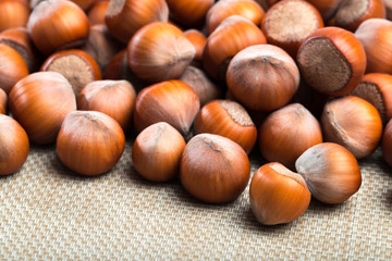 close up of hazelnuts on table .