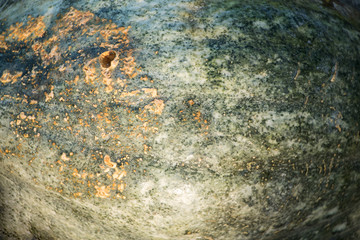 textur von einer interessanten kürbisschale