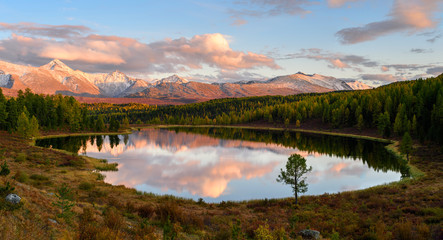 Amazing Altai nature landscape of Kidelu lake surrounded by colorful autumn forest and incredible red mountain ice peaks of Siberia, tree grows on shore and reflection of sunset sky. Altai, Siberia.