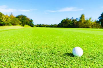 ゴルフ ゴルフボール ボール フェアウェイ ラウンド 青空 戦略 ビジネス マナー マネジメント