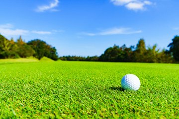 ゴルフ ゴルフボール ボール フェアウェイ ラウンド 青空 戦略 ビジネス マナー マネジメント