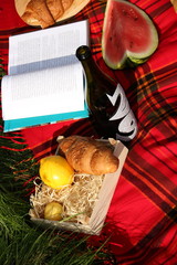 Birthday picnic with a red blanket