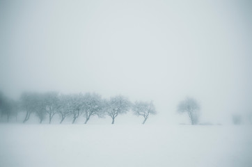Minimale Winterlandschaft mit Bäumen