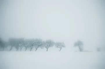 Door stickers Grey minimal winter landscape with trees