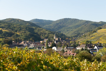 Fototapeta na wymiar Village d'Andlau dans les vignes alsaciennes