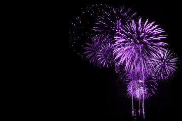Purple Fireworks in dark background 